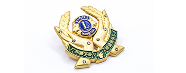 Metal Badge